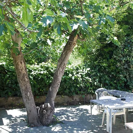 Apartment Inge *